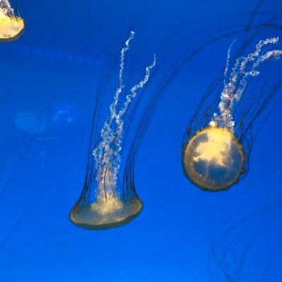 Dennis_M's profile picture. 