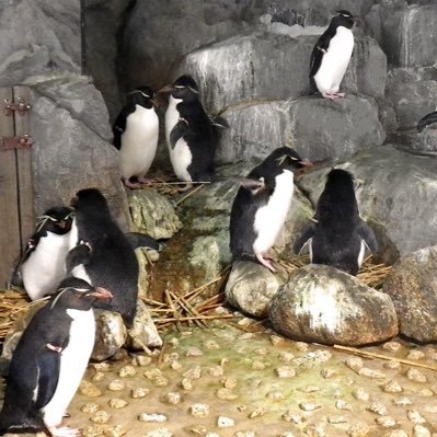 LWOcca12pLyrZUw's profile picture. 今更ですが、ツイッター始めました。分からないことだらけですが、毎日の更新目指して頑張ります‼︎