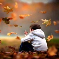 Maple Leaf (@mohmmadyouni) 's Twitter Profile