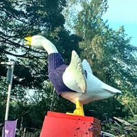 Goosey Goose (@goosefairgoose) 's Twitter Profile Photo Goosey Goose (@goosefairgoose) 's Twitter Profile Photo