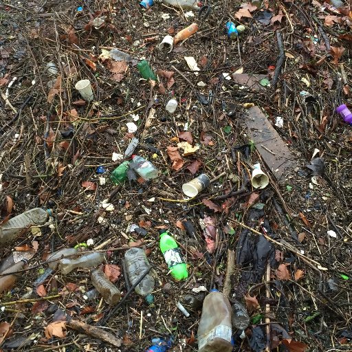 Putney Tidy Towpath Profile