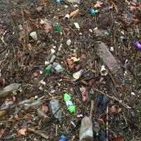 Putney Tidy Towpath (@tidytow) 's Twitter Profile