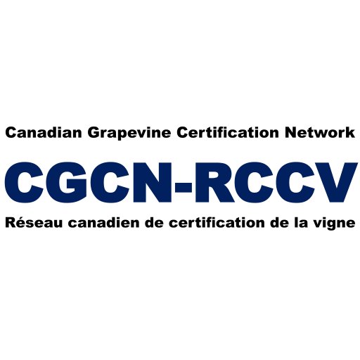 CGCN-RCCV is committed to advancing the Canadian grape & wine industry with a sustainable supply of certified propagative grapevine material.