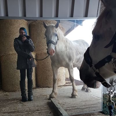 Tremadorr's profile picture. Population genetics and conservation. BSc in Genetics and MSc in Marine Conservation.