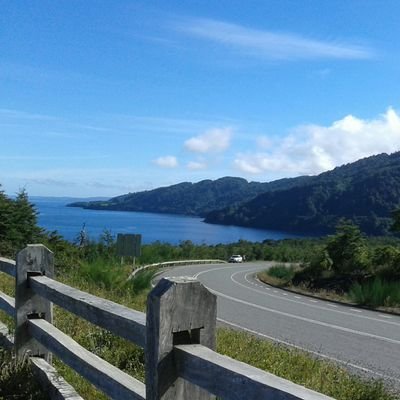 Genovev00028746's profile picture. 