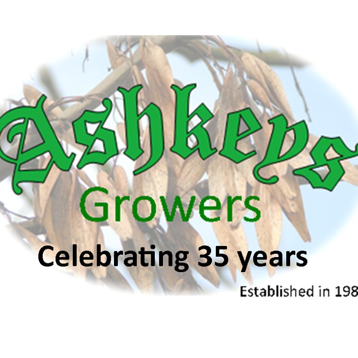 East Yorkshire based plant nursery established in 1983. We grow a large range of herbs, veg plants, herbaceous perennials, alpines and cottage garden plants.