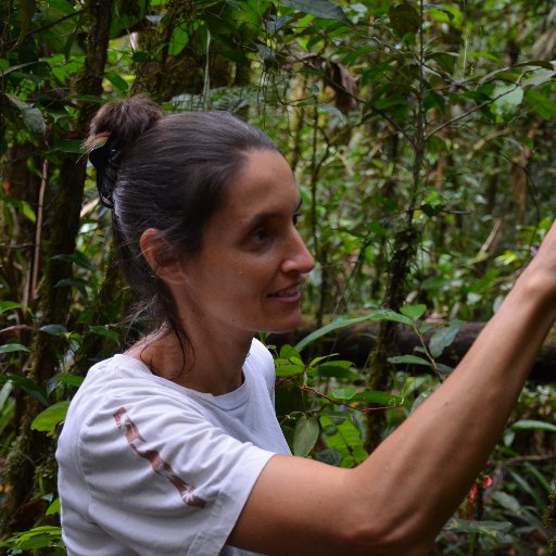 Ecologist studying biotic interactions in neotropical forets @ird_fr @UmrAmap