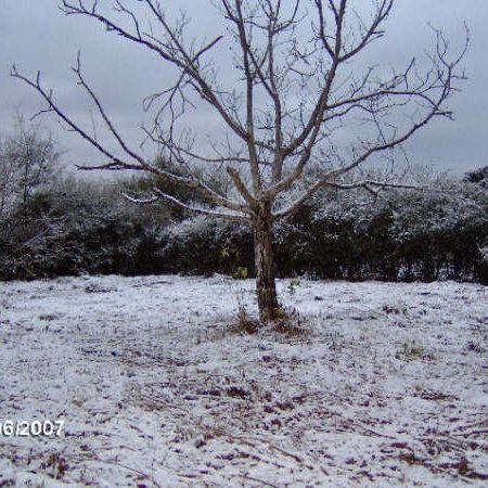 marjocris64's profile picture. 