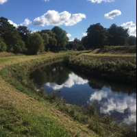 KJDodgson (@dodgson_kj) 's Twitter Profile