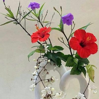 OrnekSefik's profile picture. 