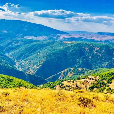 shakDoa13726737's profile picture. 