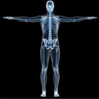 ULHT Radiology (@ulht_radiology) 's Twitter Profile Photo ULHT Radiology (@ulht_radiology) 's Twitter Profile Photo