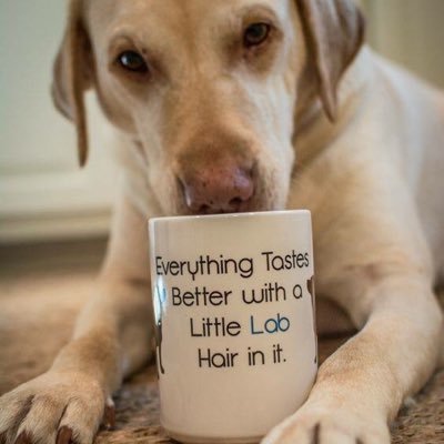 huddleston62's profile picture. 