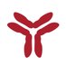 Red Maple Trials (@redmapletrials) Twitter profile photo Red Maple Trials (@redmapletrials) Twitter profile photo