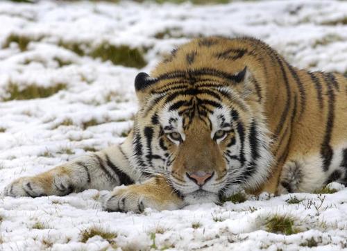 nikkikotz's profile picture. 