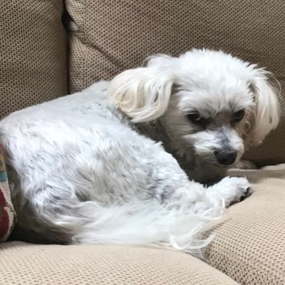 yourboysa's profile picture. 