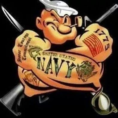 PitVaper's profile picture. Navy Veteran, Patriot, United Steel Worker, Biker
