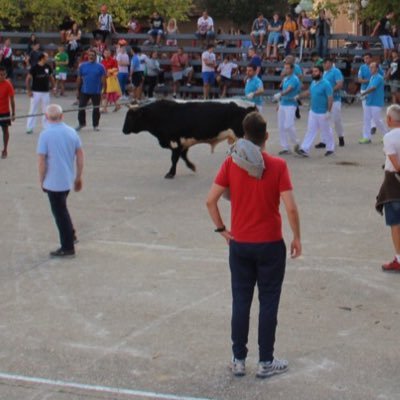 El único noble es el toro y lo matan. Socio #RuedoTeruel y Entendidos Zero @teruelzero. Abonado plaza de toros de Zaragoza.