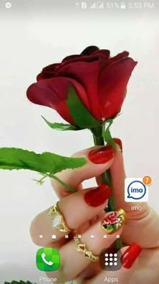 Giash20119658's profile picture. 