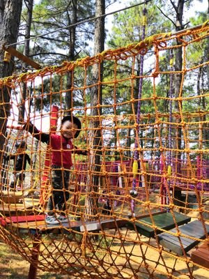 ysz169's profile picture. 