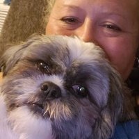 Linda Wellenbacker (@lindaw1810) 's Twitter Profile