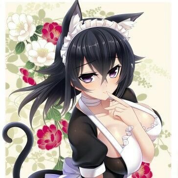 Kitty_Kat108's profile picture. i'm a Kat who likes lewd things says some odd things and is weird and awkward when saying stuff also warning: there will be cute/wholesome stuff in the lewd rts