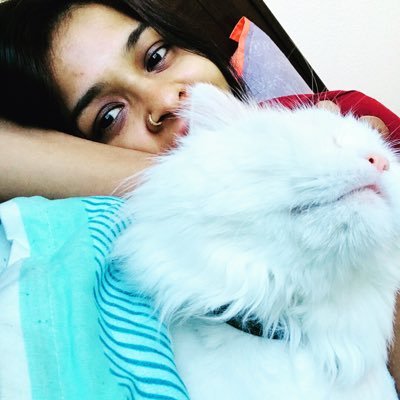 boredcatshy's profile picture. Bored writer, lost in translation.