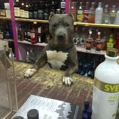 grantabulous12's profile picture. Dreamer