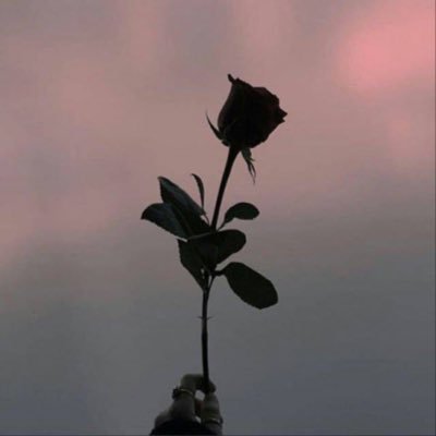 R8890000's profile picture. أنالنفِسي حيّاة. وفِي‌النهايةابقِيت‌مشَاعري‌لنفسي