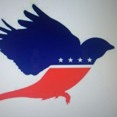 BirdProgressive's profile picture. Virginia Bernie Delegate 2016-2020/ Congressional District 1 / Progressive here, lets move forward. 🌤