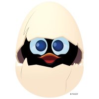 Lucia (@lucia_maculan) 's Twitter Profile