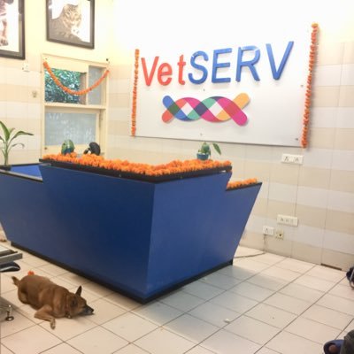 India's best veterinary diagnostic lab. 
We are at the forefront of innovation, delivering lightning-fast results with pinpoint accuracy 🚀