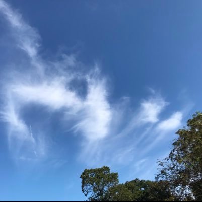 jason_ge1981's profile picture. 科學 搞笑 科技 歷史 新聞