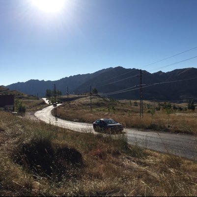 silent_tweetss's profile picture. 