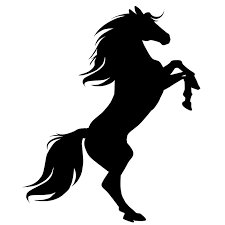 CodeStallionZA's profile picture. WEB, SOFTWARE DEVELOPMENT
PHP, REACT NATIVE, LARAVEL
🖥️⌨️🖱️
Email: codestallionza@gmail.com