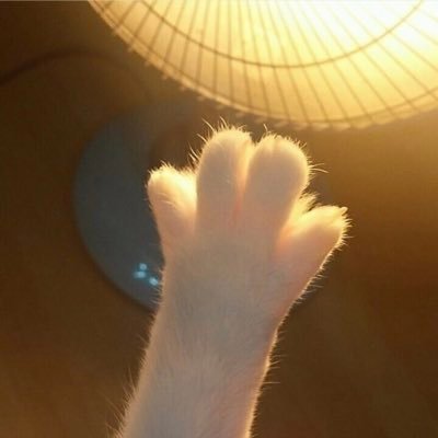 Beng77777's profile picture. 