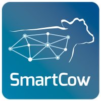 SmartCow (@cow_smart) 's Twitter Profile
