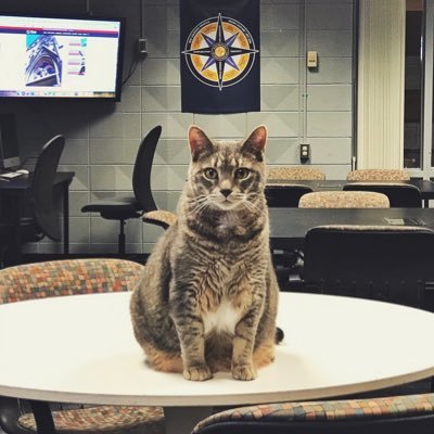 SMSPete's profile picture. Middle School Office Cat