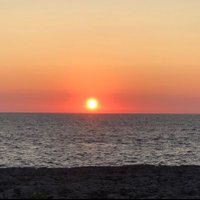 mrotgercolom (@mrotgercolom) 's Twitter Profile Photo mrotgercolom (@mrotgercolom) 's Twitter Profile Photo