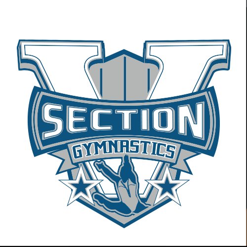 The Official Section V Gymnastics Twitter Account.