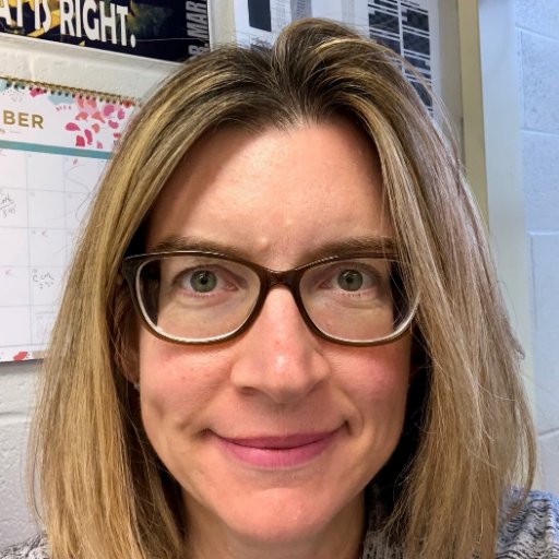 US History and AP Human Geography teacher at McLean High School