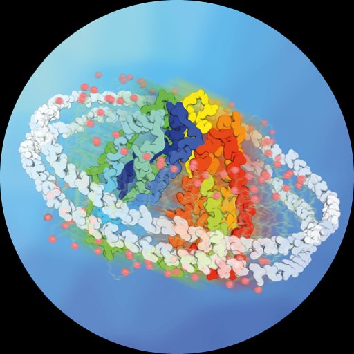 Politis Lab Profile