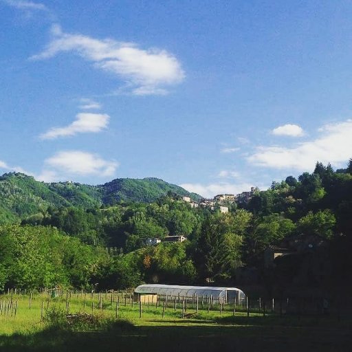 Real Italian Food and Hampers from our little valley in Tuscany.  North Yorkshire to Northern Tuscany, what a journey!