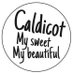 Caldicot Community Working Together (@caldicotcwt) Twitter profile photo