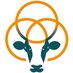 AnimalFuture (@animal_future) Twitter profile photo AnimalFuture (@animal_future) Twitter profile photo