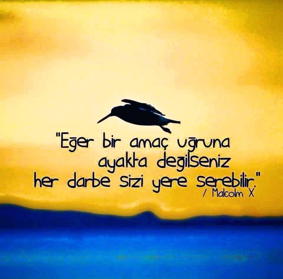 LR TÜRKİYE PLATİN LİDERİ GÜLPERİ EVSİNE İLETİŞİM: gulperievsine@gmail.com ek gelir veya B planina ihtiyacınız varmı? Hayallerinizi ertelemeyin....