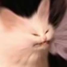 MoosicTF2's profile picture. сука