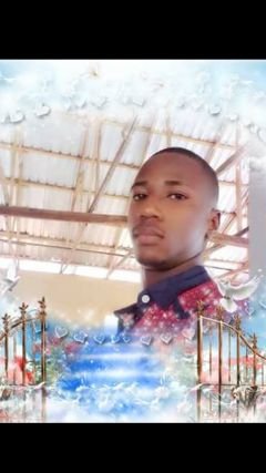 William27333101's profile picture. 