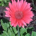 Donna Macy - @macydl - Twitter