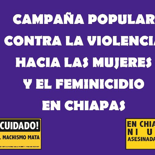 TL de la Campaña Popular Permanente Contra la Violencia de Género y el #Feminicidio en #Chiapas / Peticionarias de la #AVGM